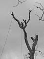 ORIG-IMAGE-NAME